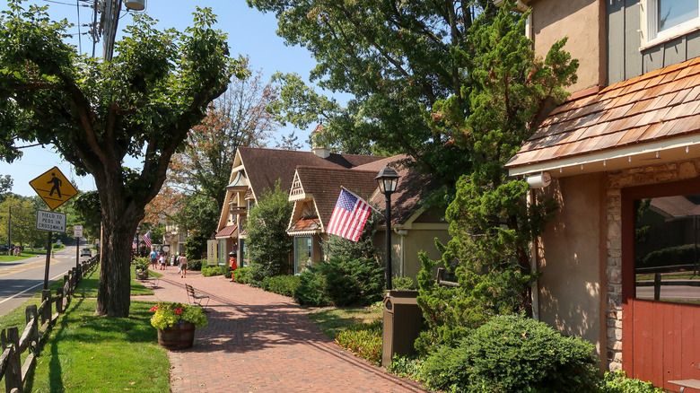 Quaint homes and foliage on street in Peddler's Village
