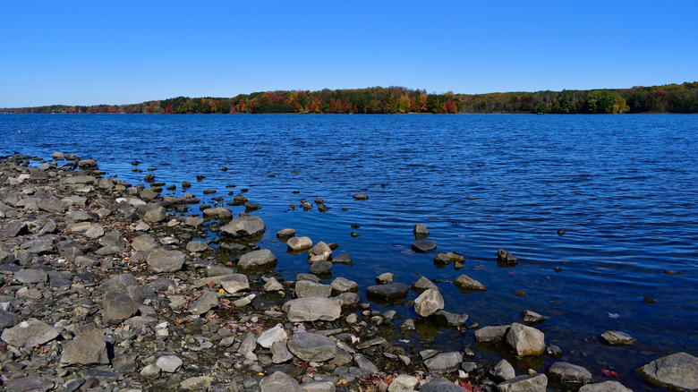A view of the Pymatuning Reservoir with blue water and a rocky shoreline