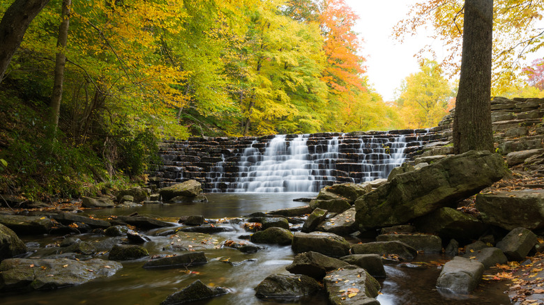 Jones Mill Run Dam at Laurel Hill State Park