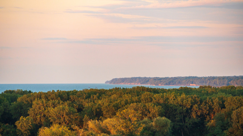 View of Lake Erie from Presque Isle State Park in Pennsylvania during the day with tree canopy in the foreground.
