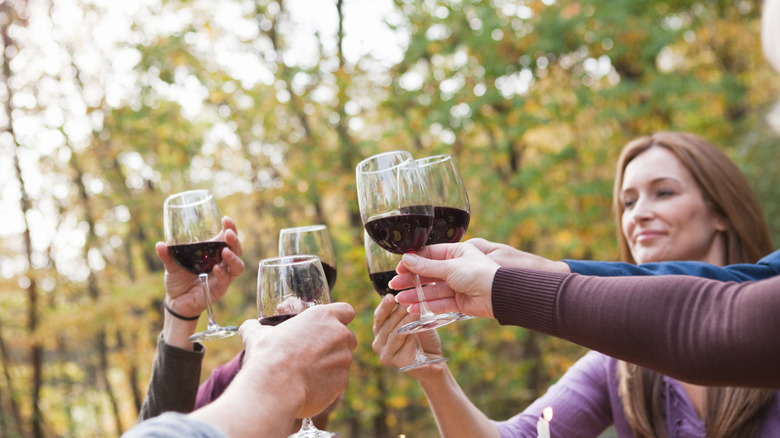 Friends drinking wine in forested setting
