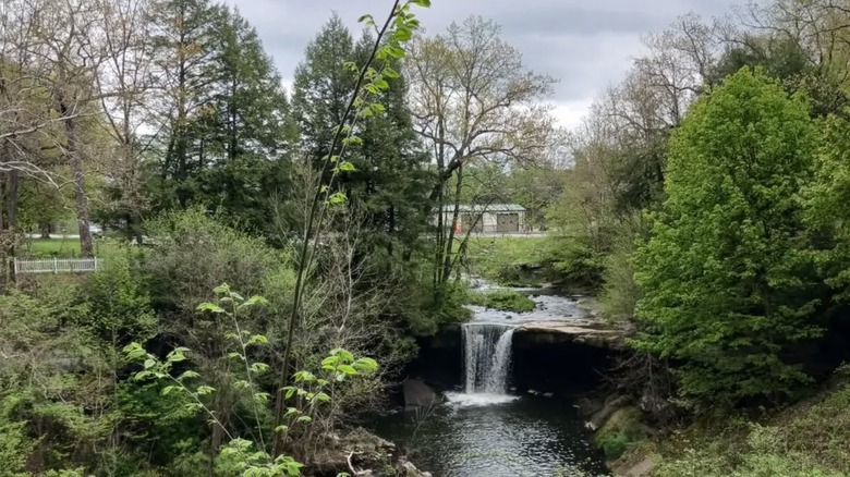 Big Run Falls in Cascade Park, New Castle in summer.