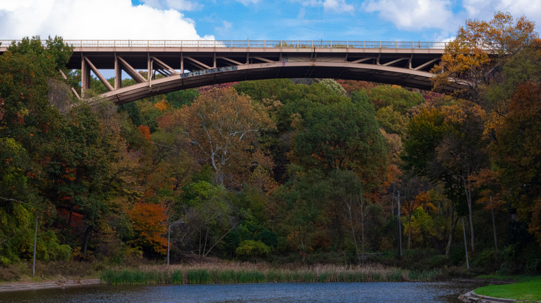 Panther Hollow Bridge spanning a forest and lake on an autumn day in Pittsburgh