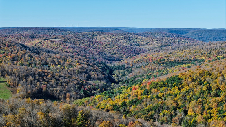 Aerial photo of Susquehannock State Forest in Pennsylvania, near Coudersport