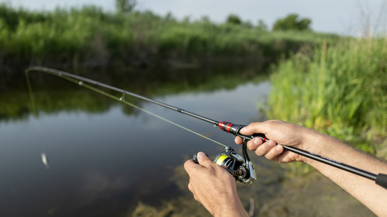A fisherman hooks a fish on a tranquil lake