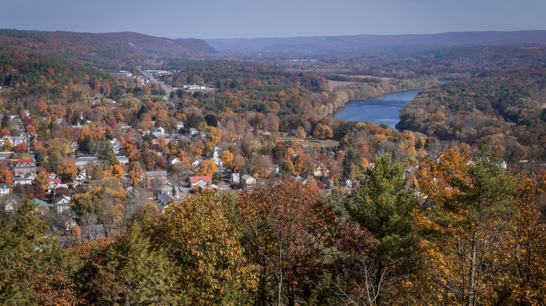 Milford, Pennslyvania, and the Delaware River surrounded by trees