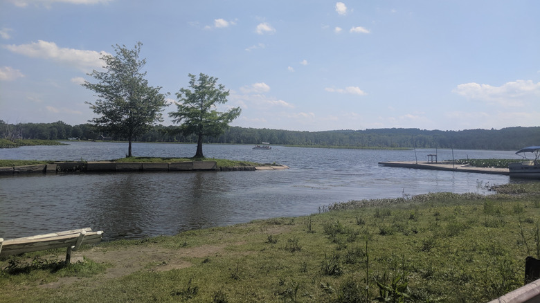Boat on Lake LeBoeuf, with a white bench and grassy shore in the foreground, a concrete-lined stretch of land with two trees in the center, and a wooden dock with a boat along it on the right of the frame, under a cloudy blue sky