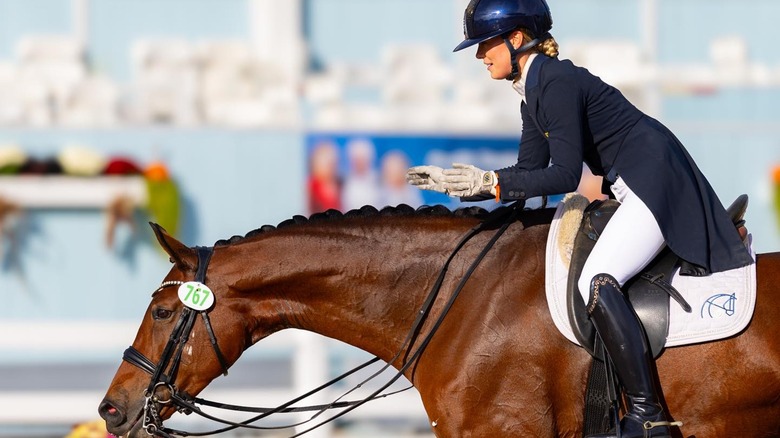 Horse and rider at a dressage competition