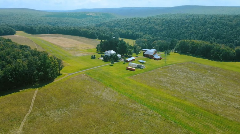 Aerial view of farmland surrounded by woods in Weatherly