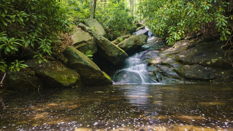 Photo of a waterfall on the Glen Onko trail