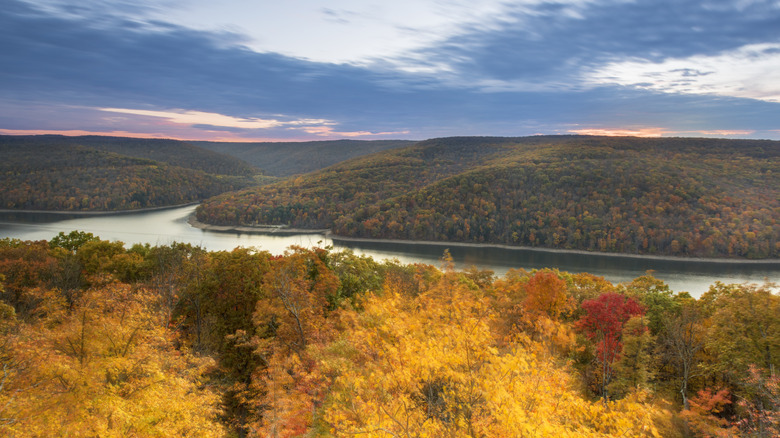 Allegheny National Forest in fall