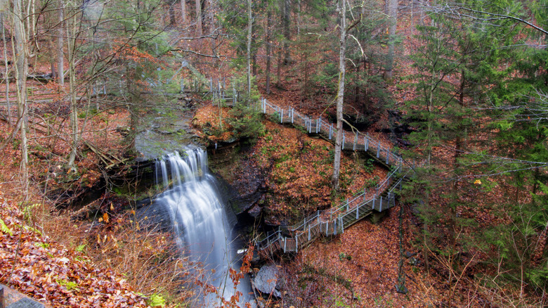 An overhead view of the Buttermilk Falls Natural Area in the autumn with colorful leaves on the ground