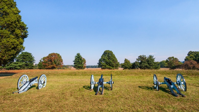 Replica cannons at Valley Forge National Historical Park outside of Philadelphia