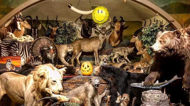 Taxidermied animals displayed at Breezy Heights Tavern, with a lion in the foreground, a bear to the right, and a smiley face balloon
