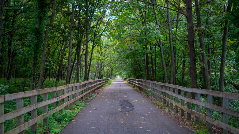The Montour Trail cuts through green forest in Western Pennsylvania