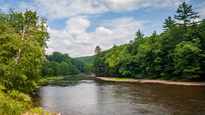 Clarion river flowing through Cook State Forest