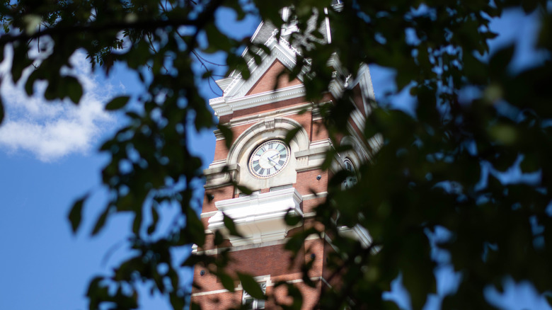 Clarion County hall tower shaded by trees