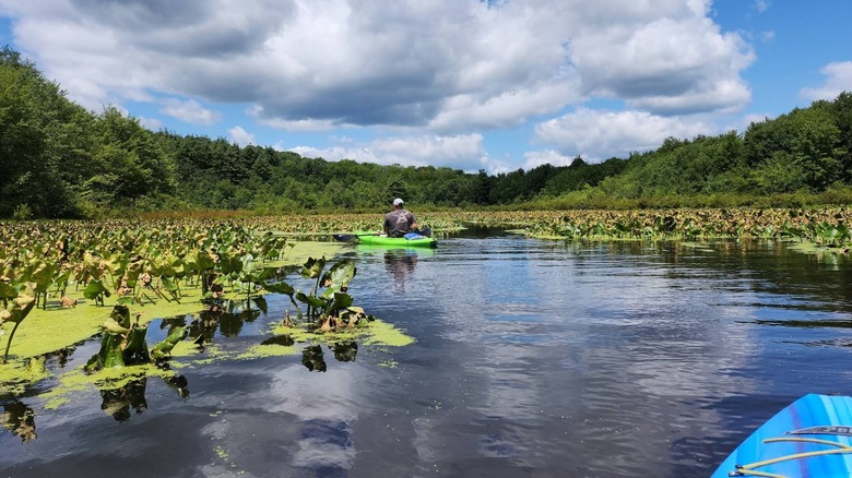 Paddling in Frances Slocum State Park.
