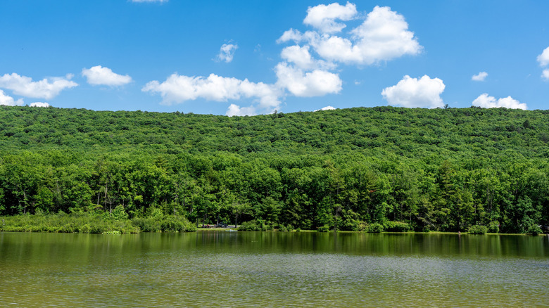 Hills covered in green trees surround a calm lake at Whipple Dam State Park, Pennsylvania.
