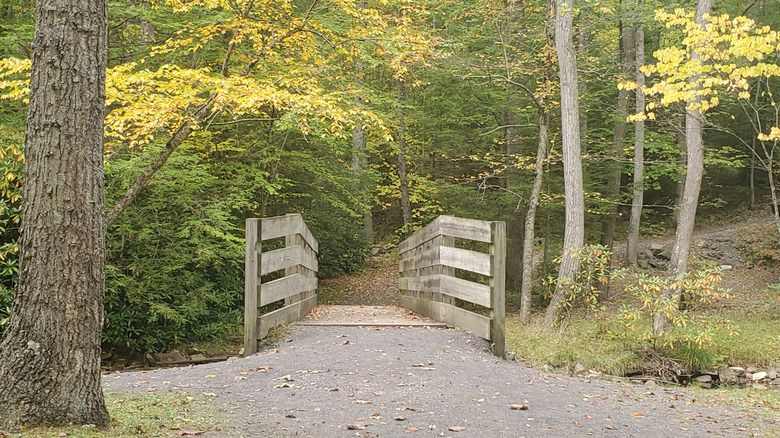 The wooden footbridge crossing Rapid Run in Sand Bridge State Park, Pennsylvania