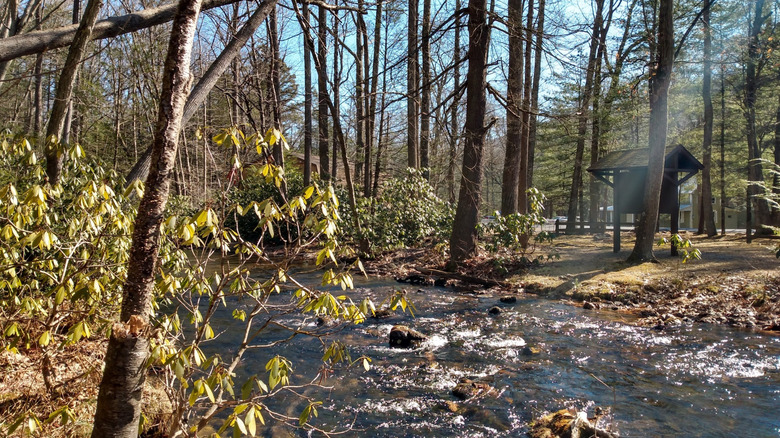 Rapid Run flowing through Sand Bridge State Park in Pennsylvania