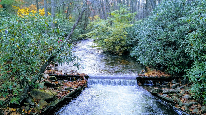 Rapid Run flowing through Sand Bridge State Park in Pennsylvania