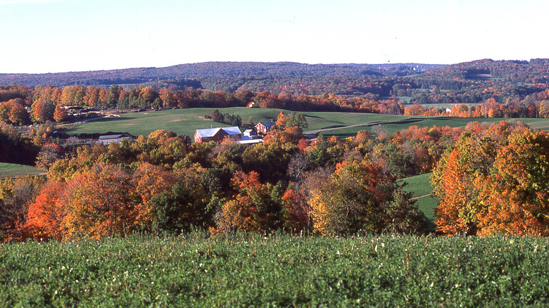 Farmland with vibrant autumn colors in the foothills of the Appalachian Mountains near State College, Pennsylvania