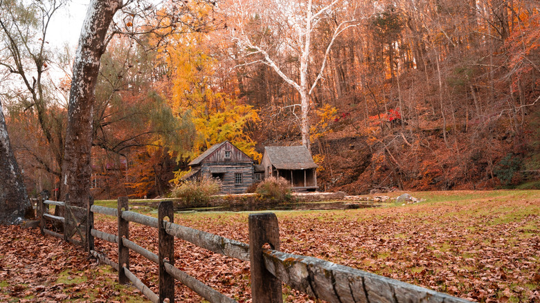 Beautiful autumn scene in Bucks County, Pennsylvania