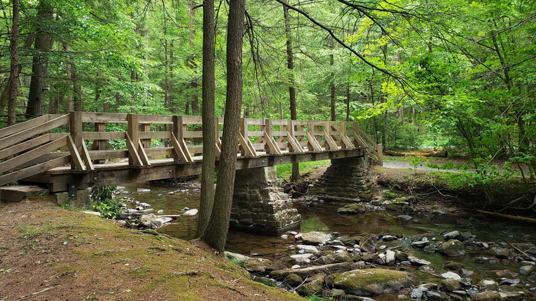 A bridge crossing Honey Creek in Reeds Gap State Park