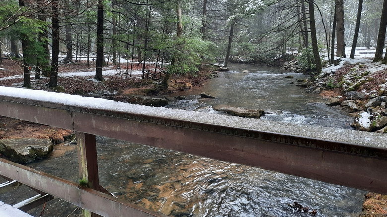 View from a bridge at Reeds Gap State Park