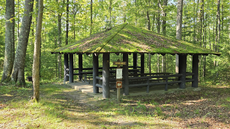 A picnic pavilion at Colton Point State Park in Pennsylvania