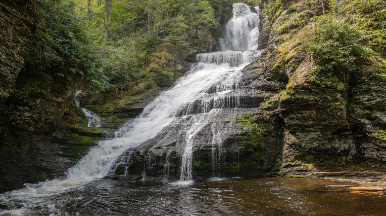 Dingmans Falls surrounded by trees in the summertime.