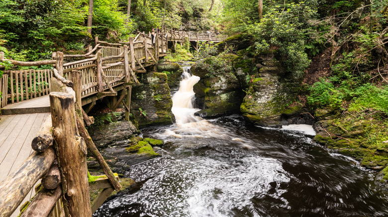 View of a bridge and waterfall at Delaware Water Gap