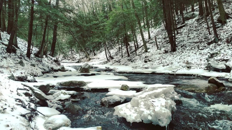 Pinchot State Forest creek in winter