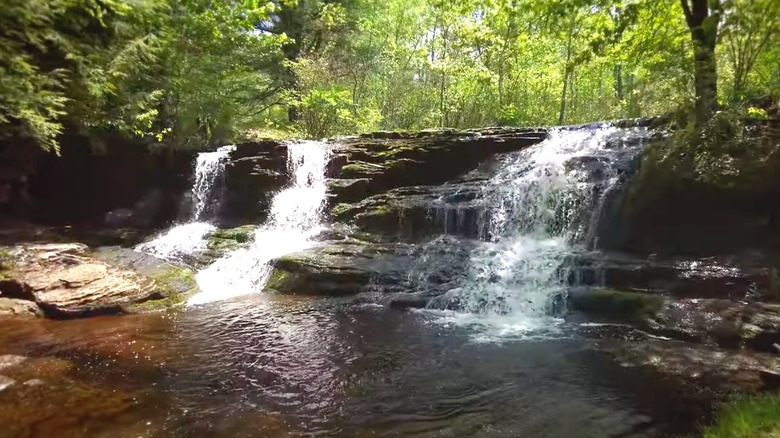 waterfall on south loop of Pinchot trail in Pinchot State Forest, Pennsylvania