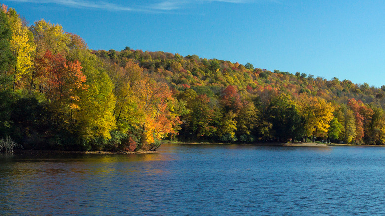 An autumn scene in Prompton State Park