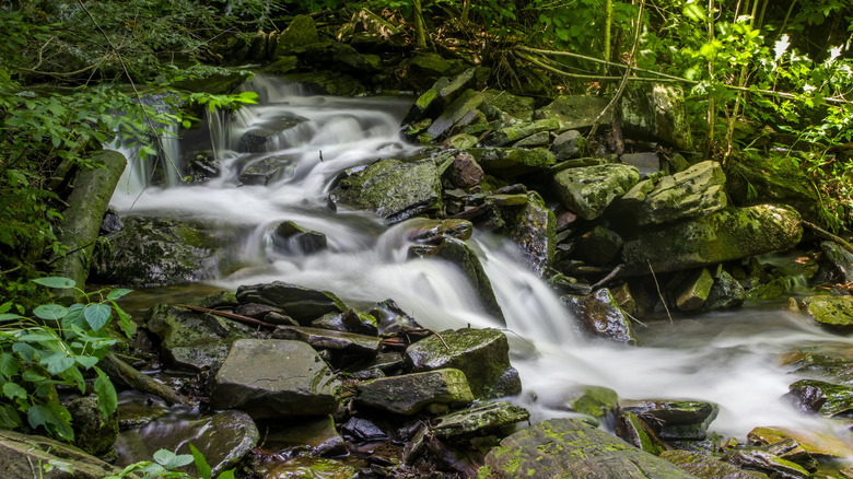 A waterfall in the Poconos, Pennsylvania
