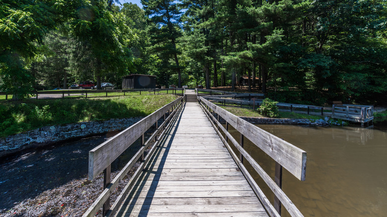 Landscape and forest view of Tuscarora State Park in Pennsylvania