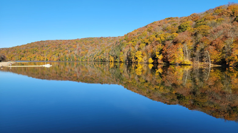 A lake reflecting colorful fall trees at Laurel Hill State Park in Pennsylvania