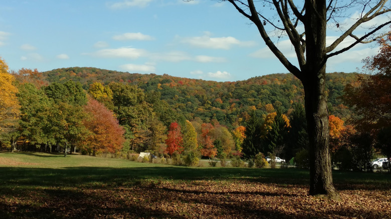 Fall colors covering the hills at Laurel Hill State Park in Pennsylvania