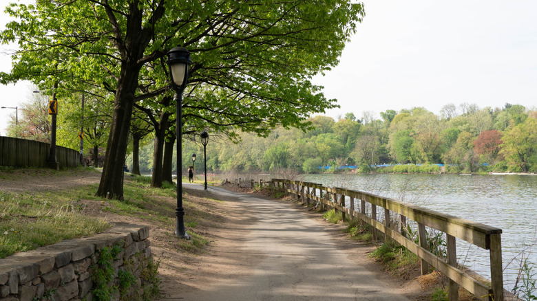 A tree-lined trail alongside the Schuylkill River