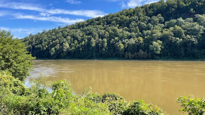 Susquehanna River in Vosburg Neck State Park.