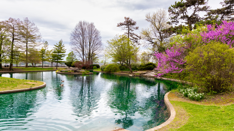 A beautiful lake by a park with spring flowers