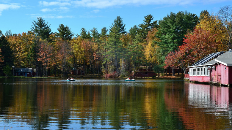 Autumn lake view in Cresco, PA