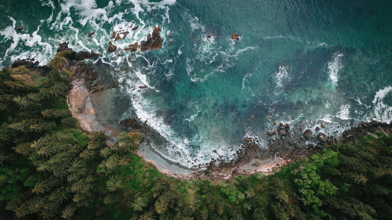 Washington coastline from above