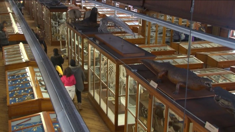 People visiting the Wagner Free Institute of Science