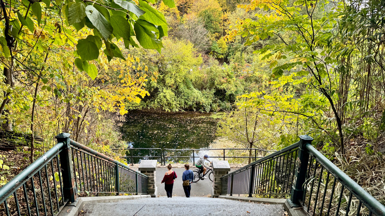 A staircase leads down to the trails of Wissahickon Valley Park