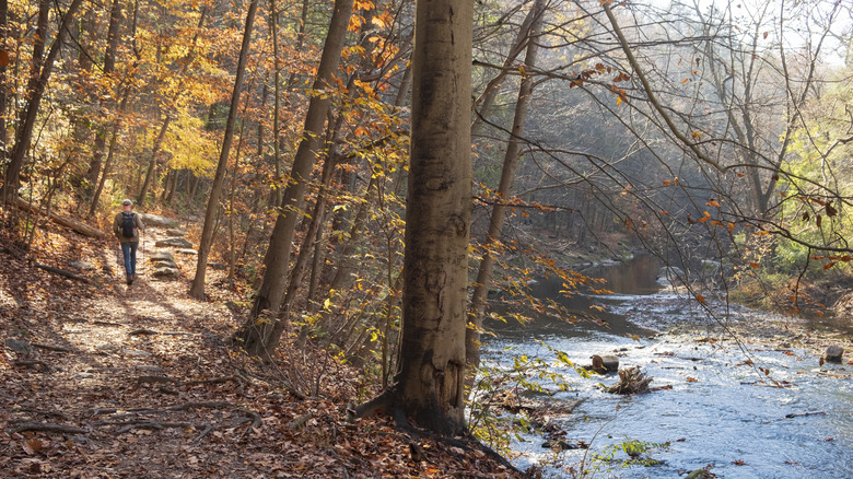 A man hiking in the Wissahickon, Philadelphia, PA