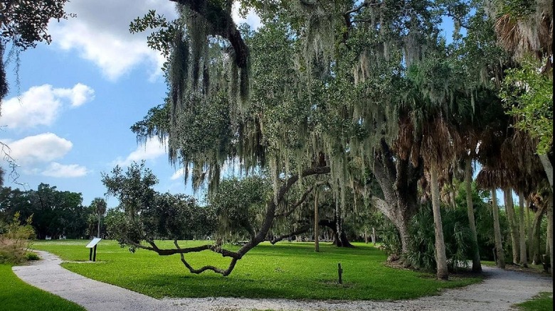Scenic trails, flanked by trees with Spanish moss, in Phillippi Estate Park in Florida