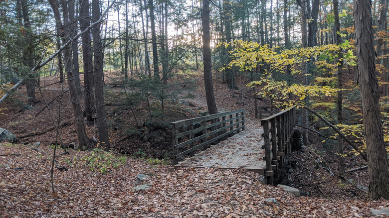 A trail in the High Falls Conservation Area leading to High Falls in Philmont in the Hudson Valley of New York